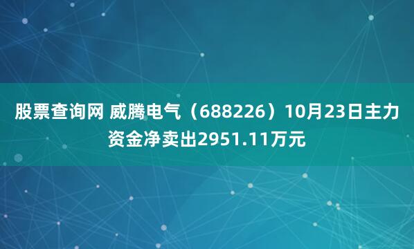 股票查询网 威腾电气（688226）10月23日主力资金净卖出2951.11万元